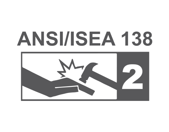 ANSI-ISEA 138